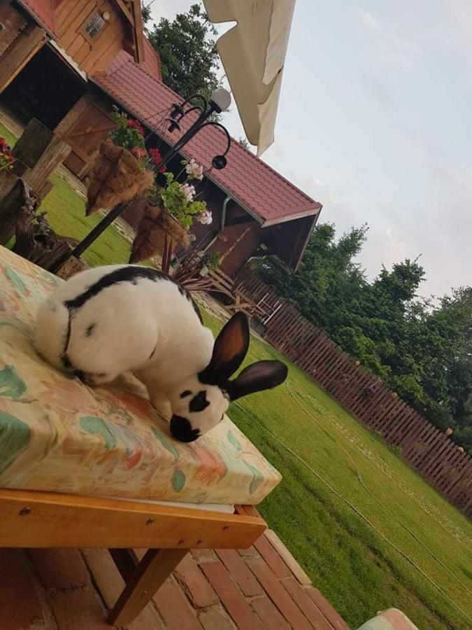 Sielski Zakatek Tokary Esterno foto